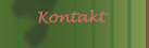 Kontakt
